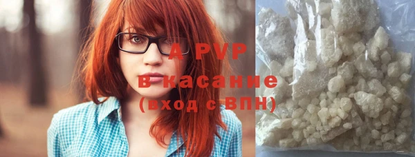 индика Нефтегорск