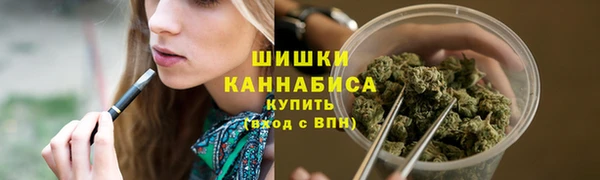 индика Нефтегорск