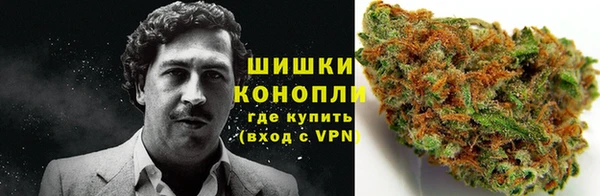 индика Нефтегорск
